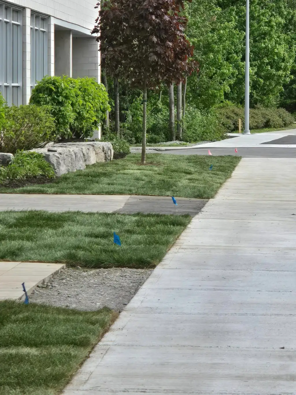 tourbe-gjminiexcavation-034