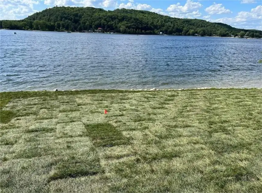 tourbe-gjminiexcavation-031