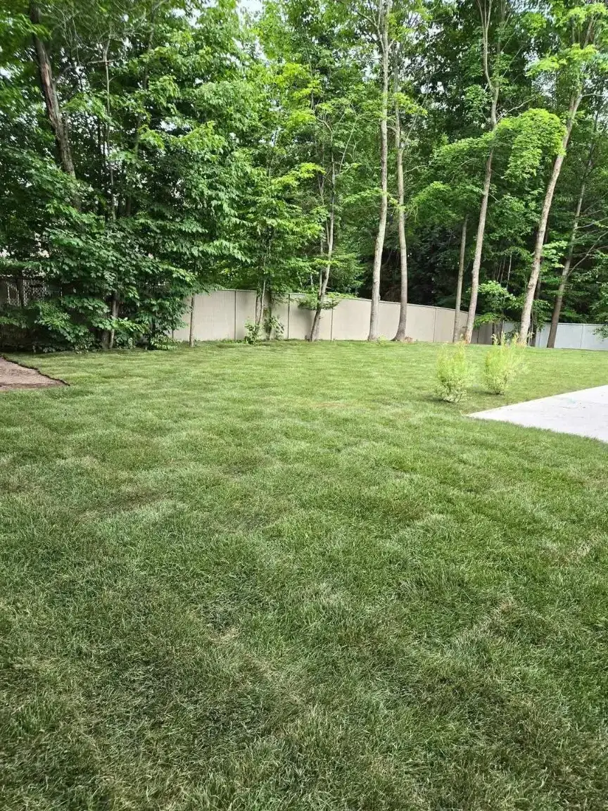 tourbe-gjminiexcavation-029