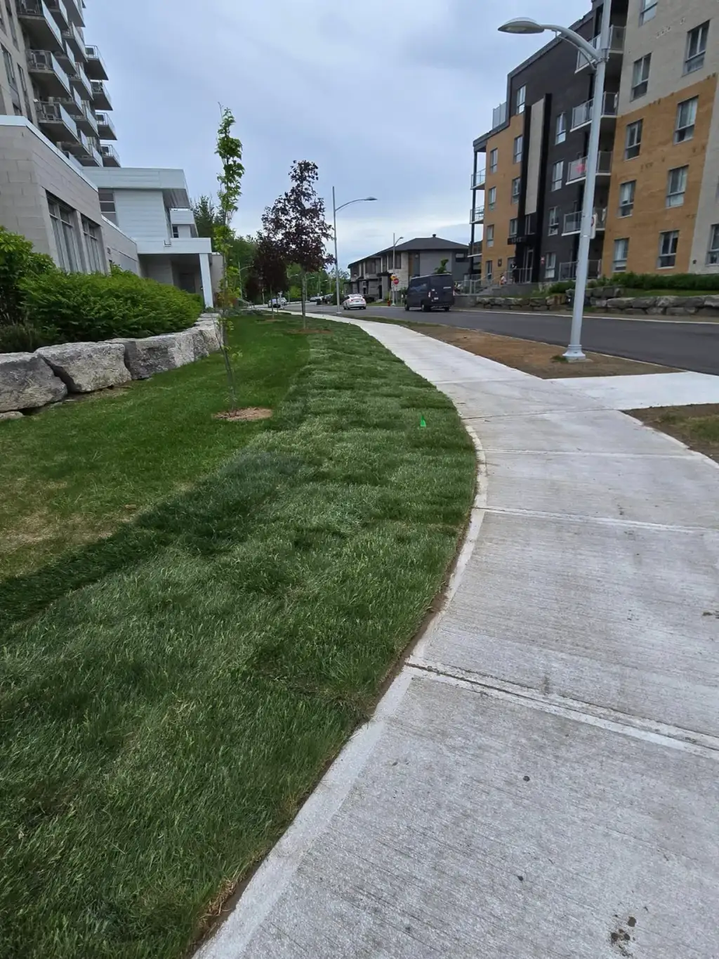 tourbe-gjminiexcavation-036